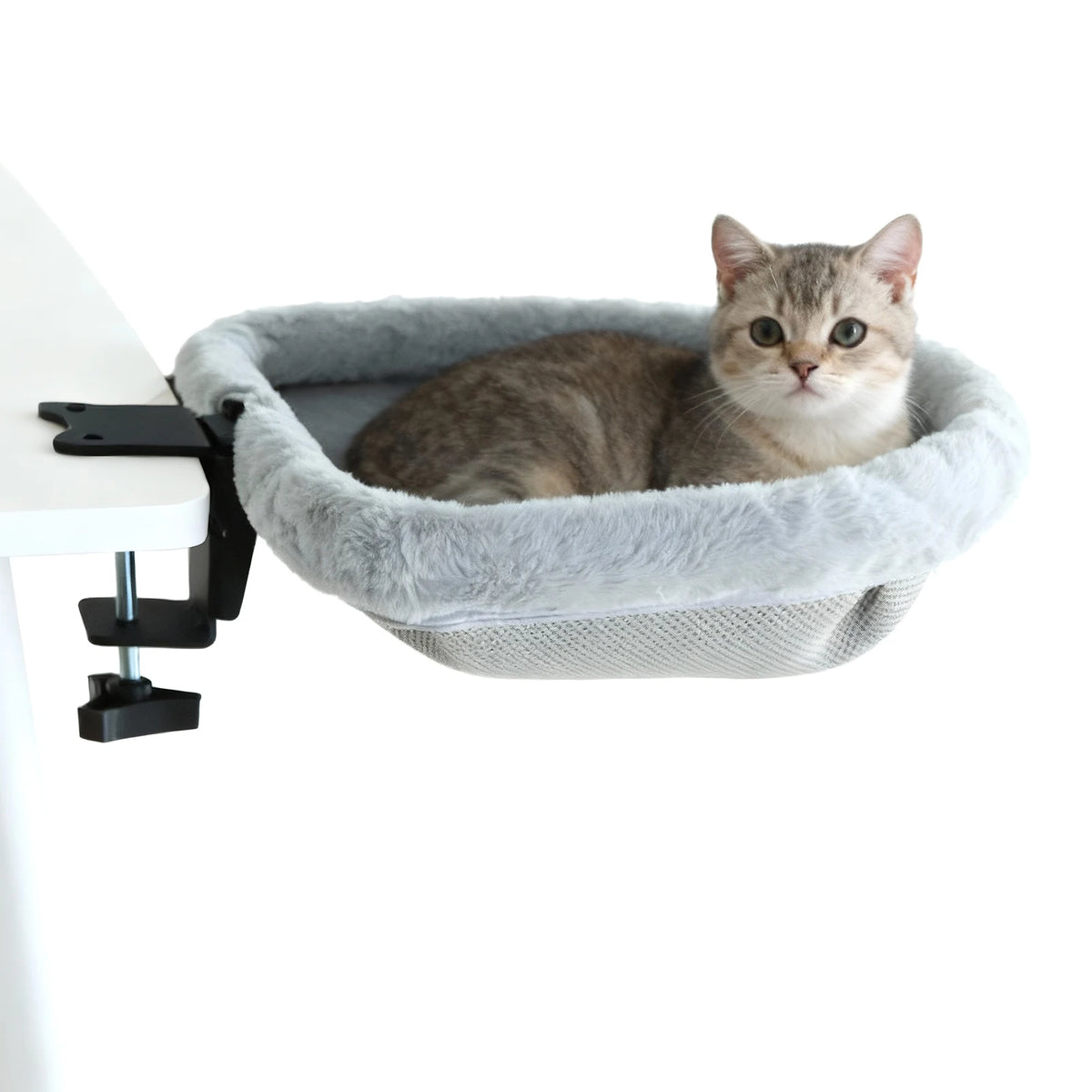 Cama de Escritorio para Gatos, Plegable con Un Clic