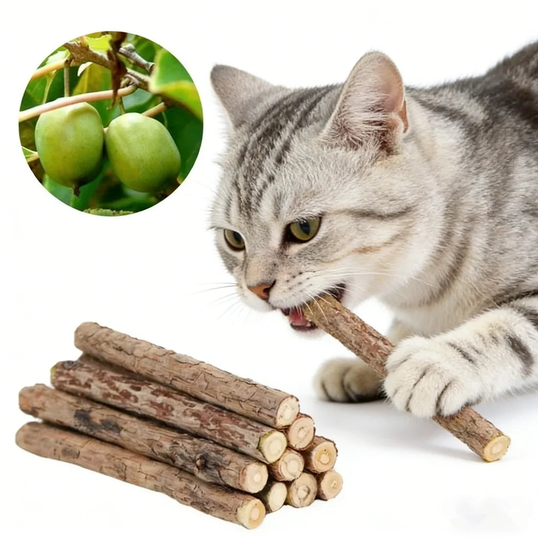 Palitos de Catnip Natural para Masticar (20 uds.)