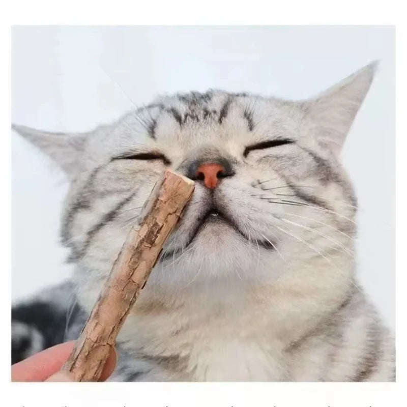 Palitos de Catnip Natural para Masticar (20 uds.)