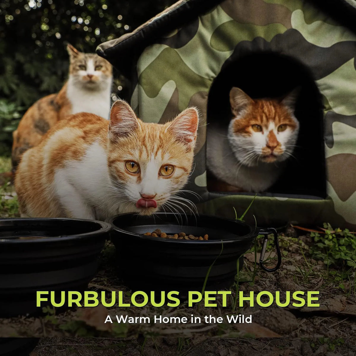 Caseta Plegable de Exterior para Gatos, Resistente al Frío