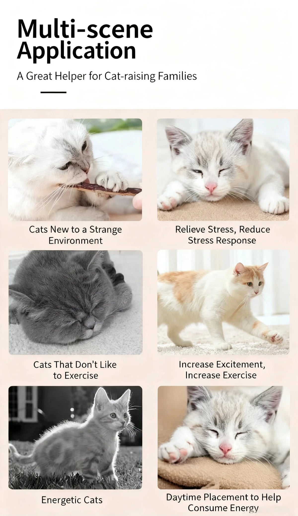 Palitos de Catnip Natural para Masticar (20 uds.)