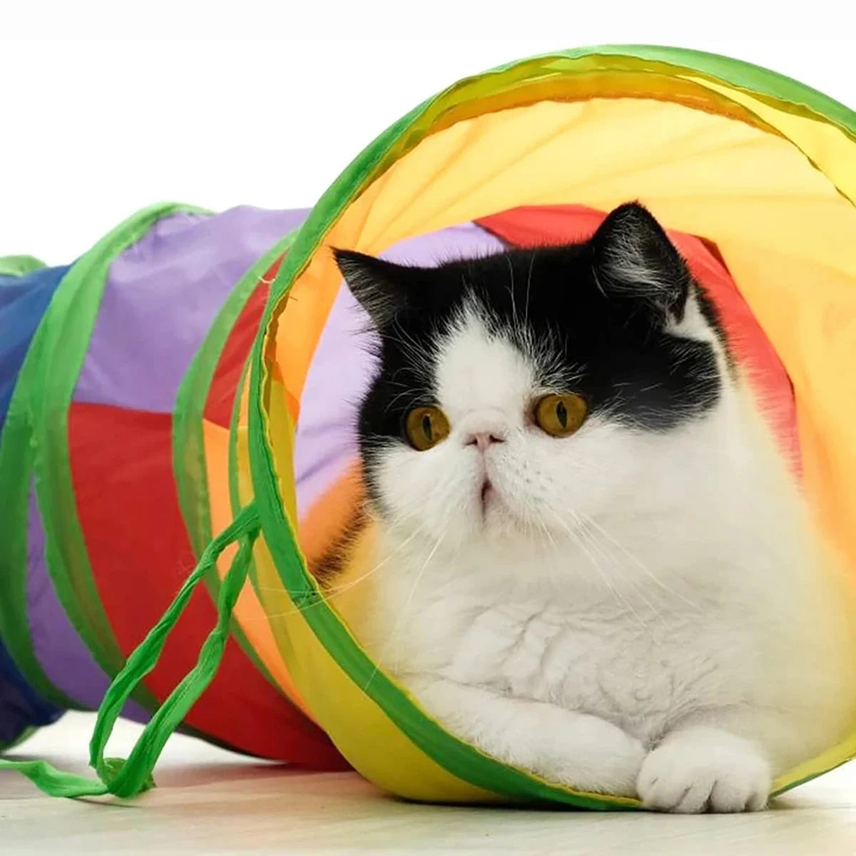 Túnel Plegable de Juego para Gatos