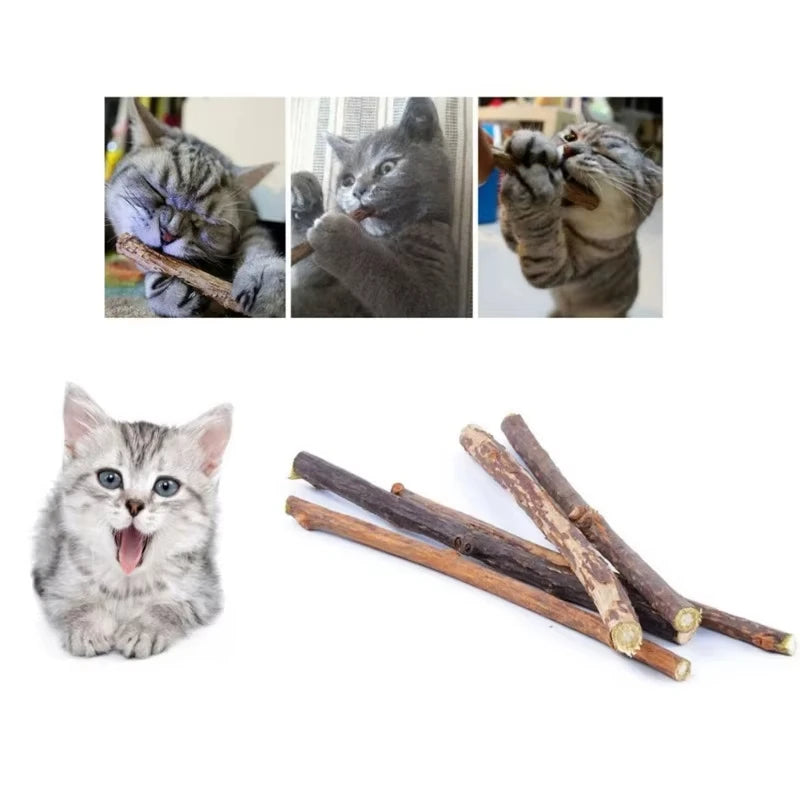 Palitos de Catnip Natural para Masticar (20 uds.)