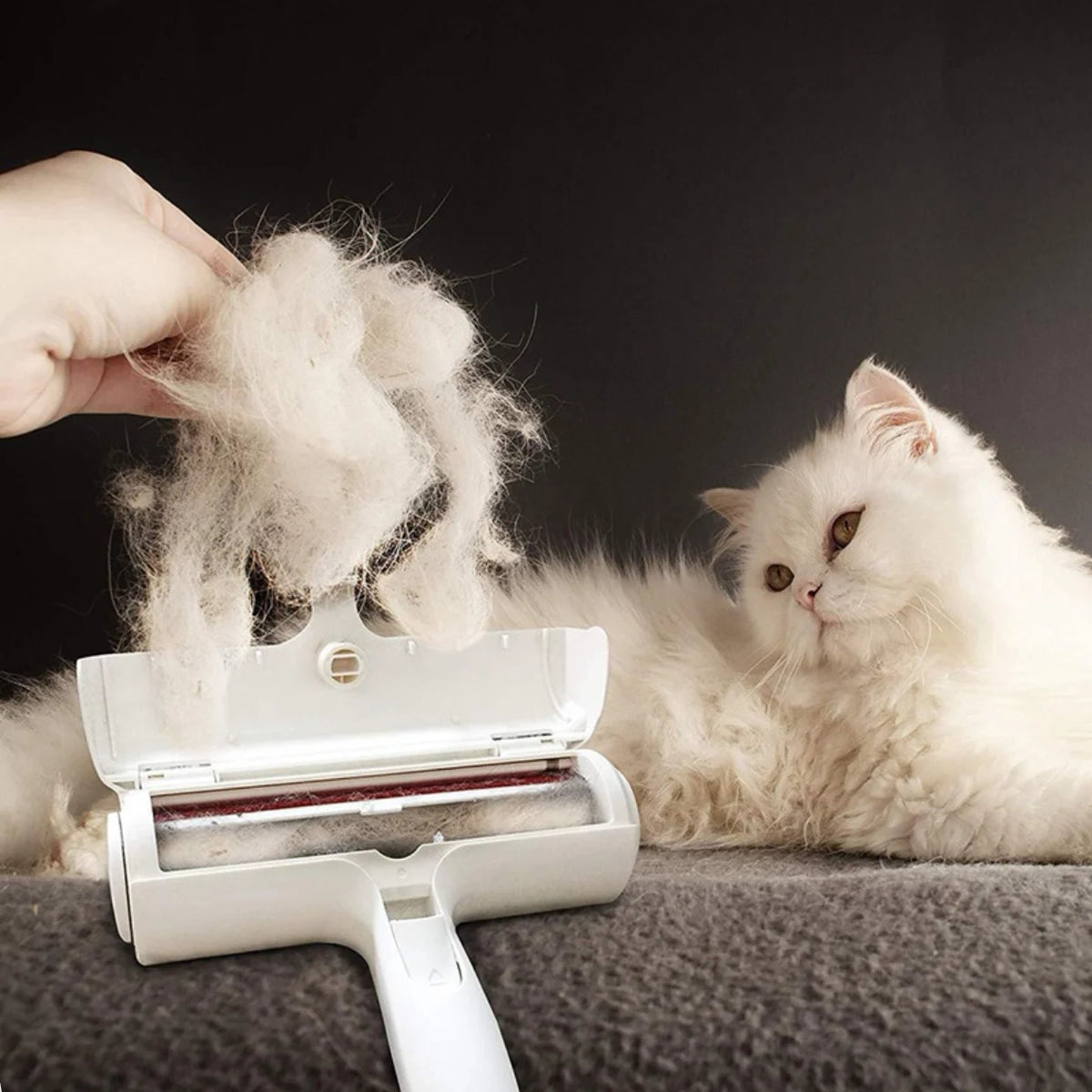 Cepillo Quitapelos de Doble Cara para Mascotas
