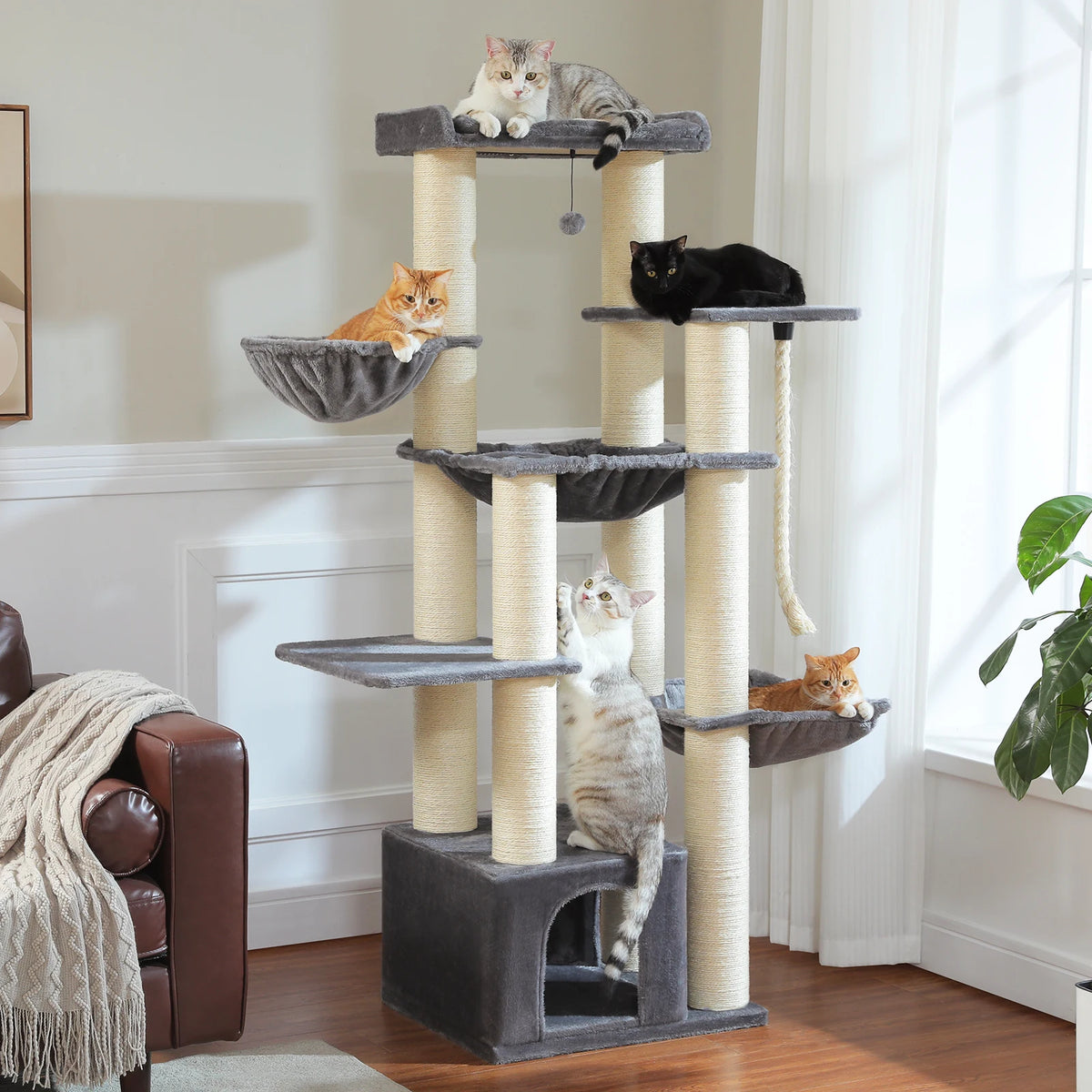 Rascador XL para Gatos Grandes con Hamaca, 170 cm
