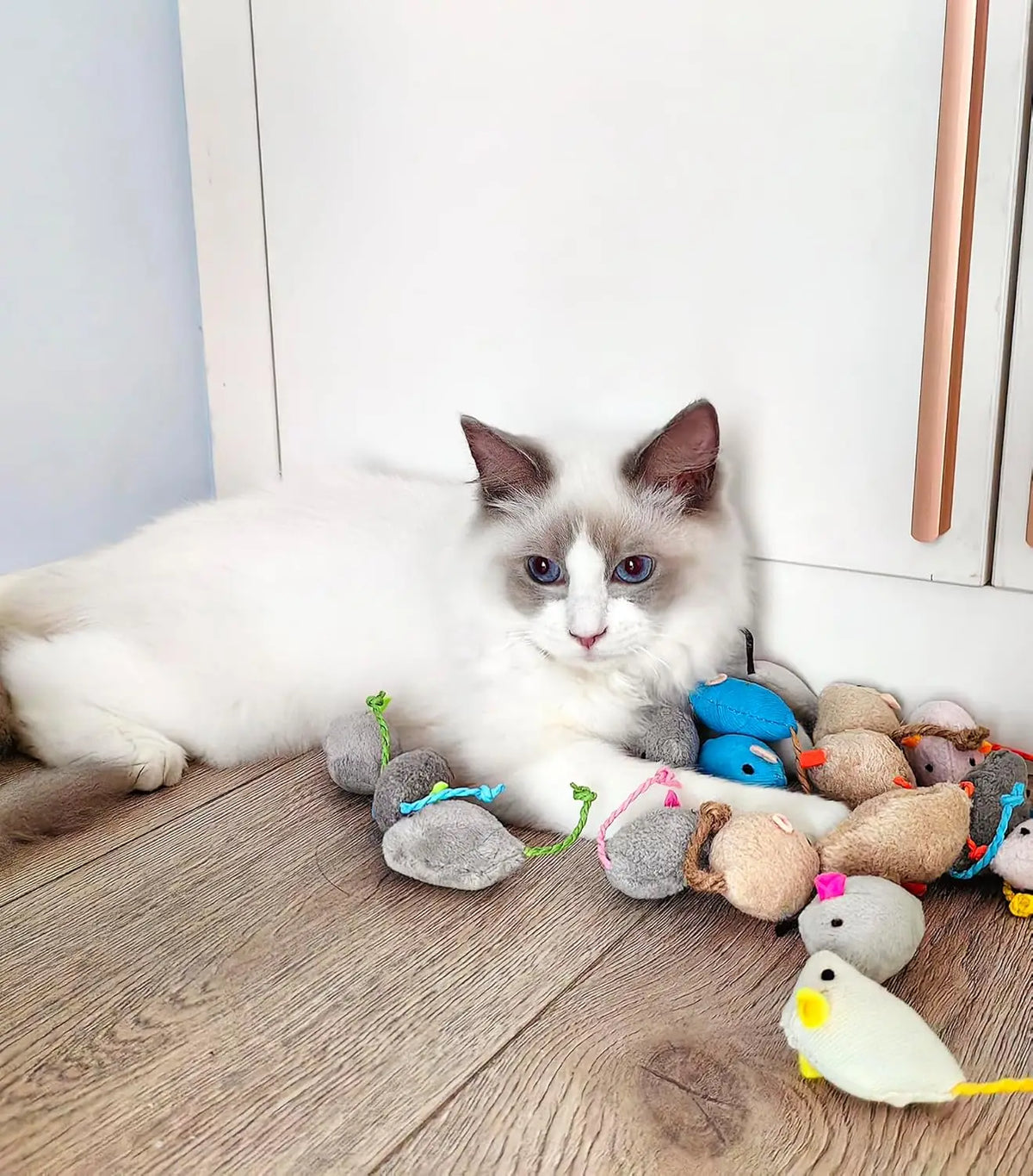 Ratones de Peluche con Catnip para Gatos (Pack)