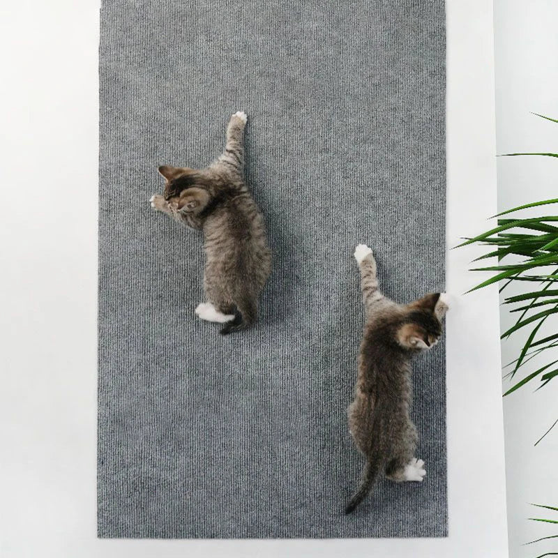 Alfombra Rascador Autoadhesiva para Gatos, Recortable