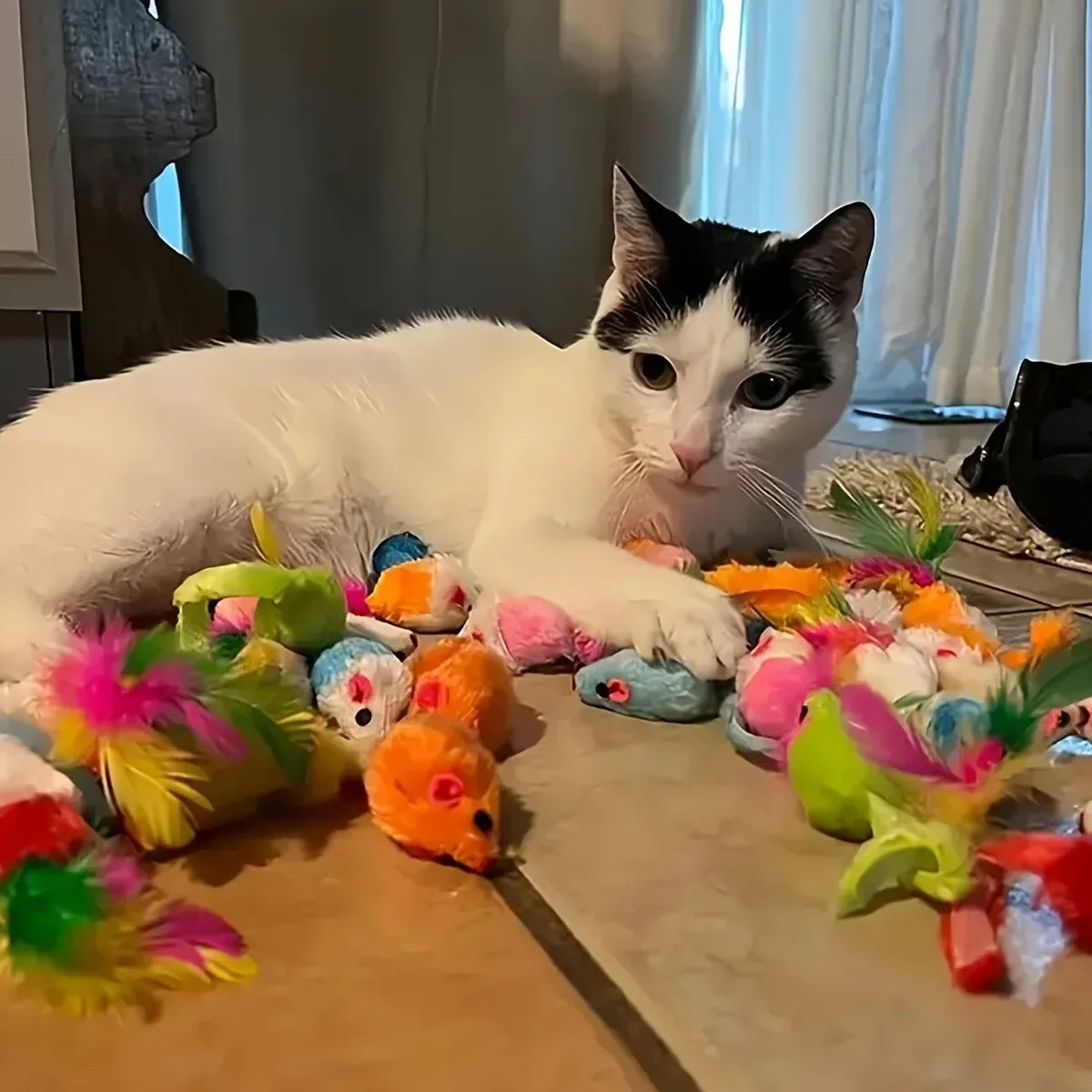 Pack Mixto de Juguetes para Gatos