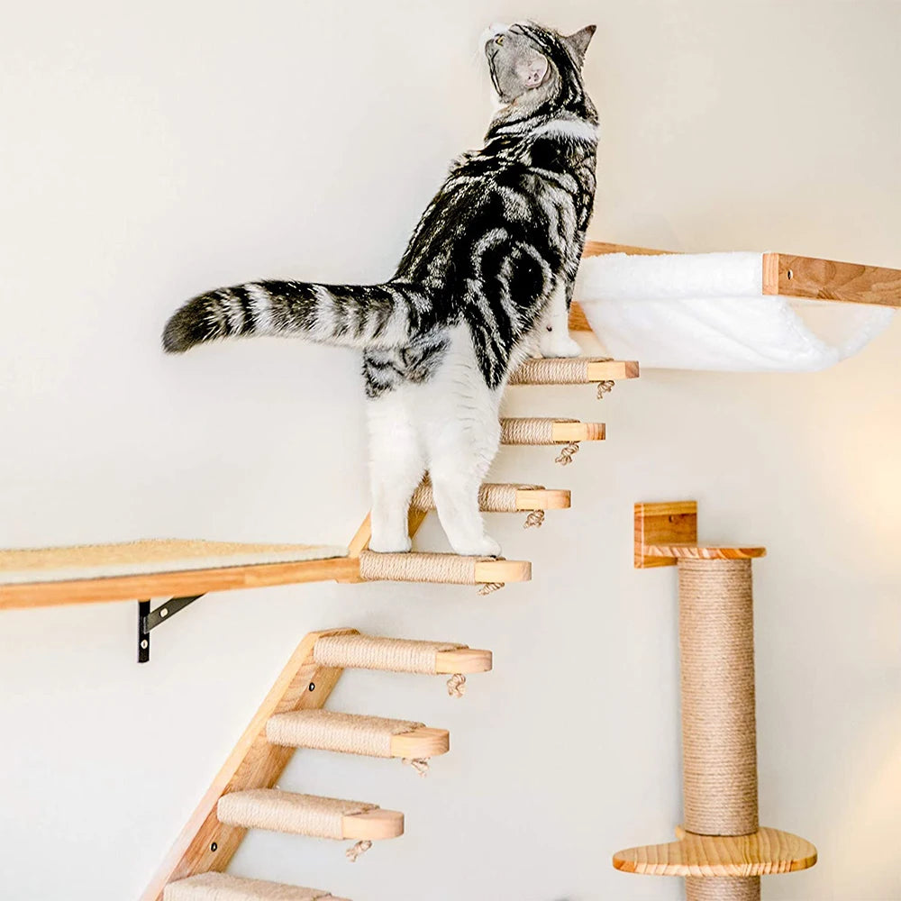 Estantes de Pared para Escalada de Gatos, Madera Natural